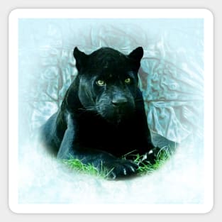 Black jaguar Sticker